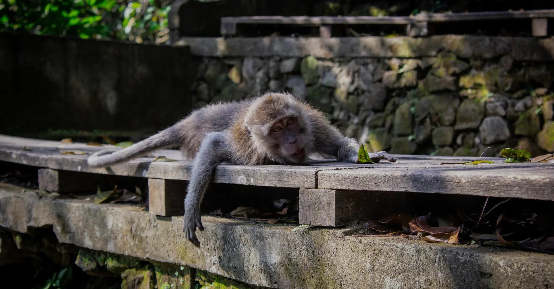 Bedugul Bali Tour - Gallery Image 1