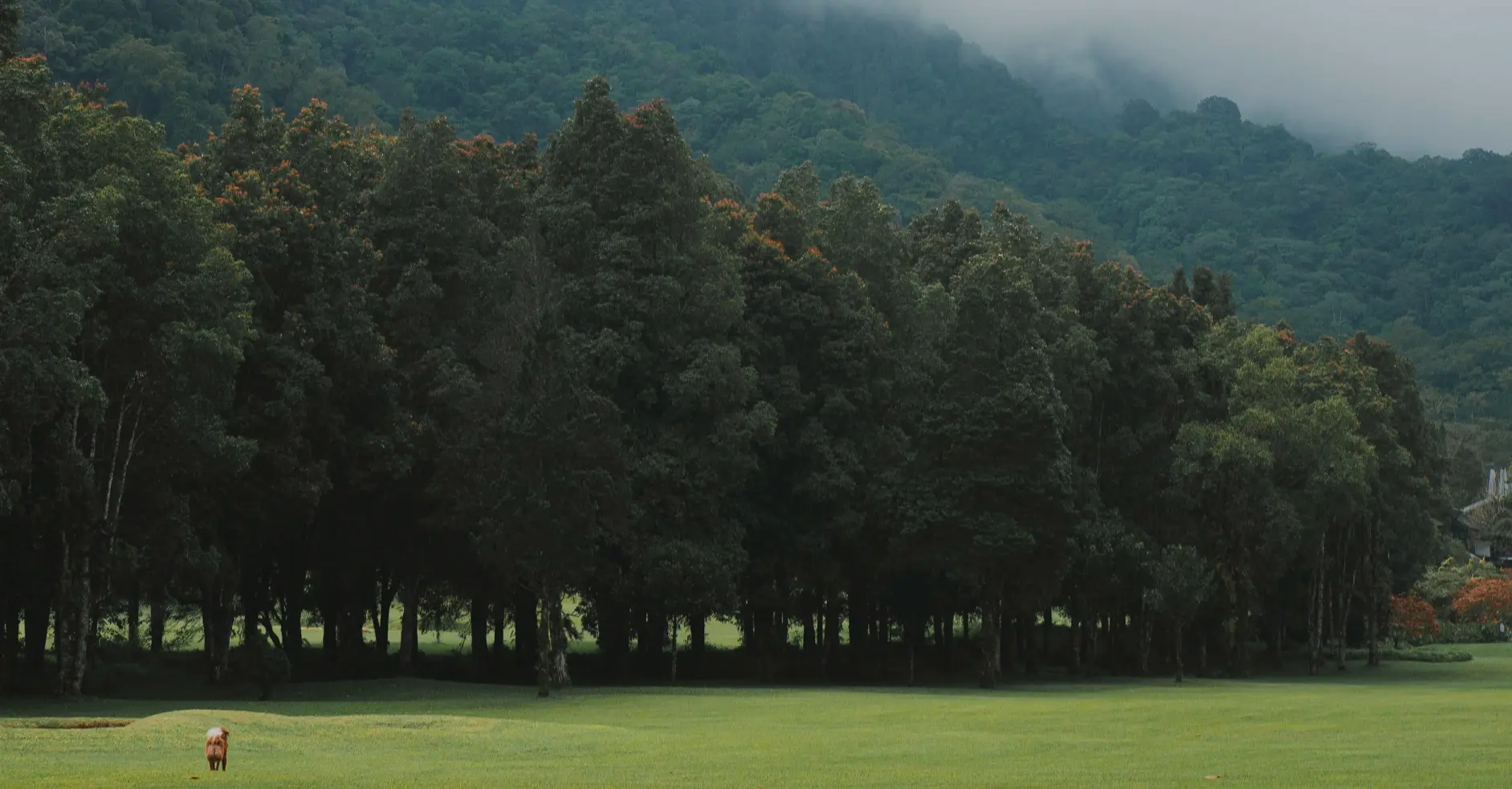 Bedugul Bali Tour - Gallery Image 3