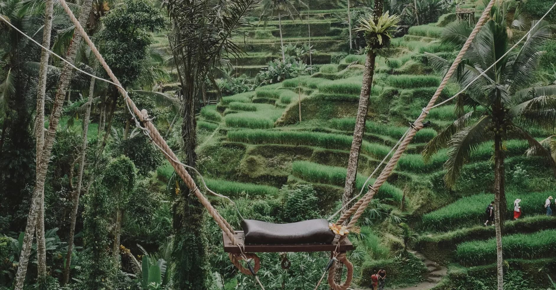 Ubud Tour - Gallery Image 3